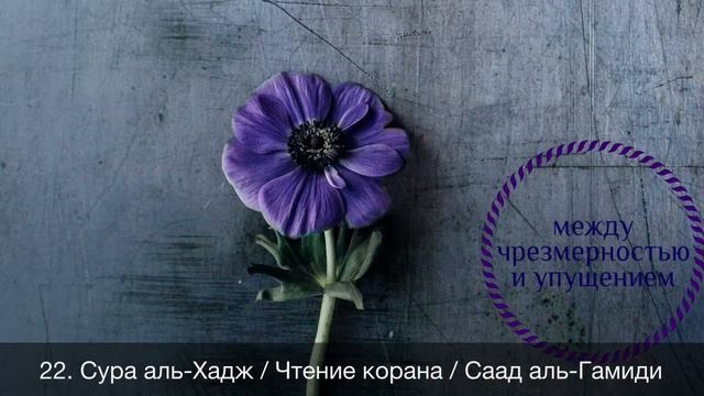 22. Сура аль-Хадж / Чтение корана / Саад аль-Гамиди смотреть онлайн