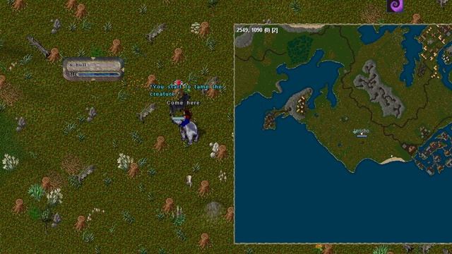 Taming Guide For Beginners | Ultima Online / Uo Forever смотреть онлайн