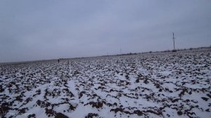 Охота на зайца. РУСАКИ-Разбойники. Сезон 2022-2023 #тропление #троплениезайца #охотаназайца#охота