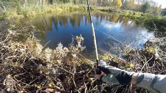 Рыбалка с Norstream Bifrost смотреть онлайн