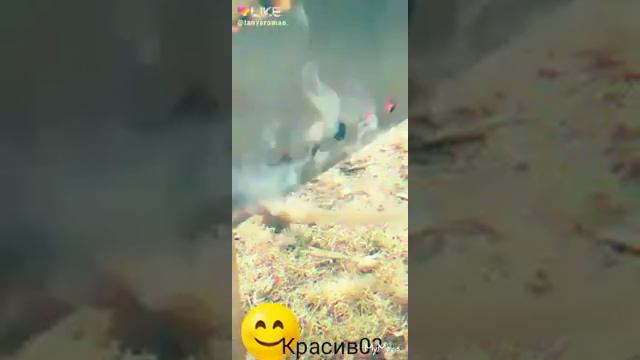 Красивый дым слоумо смотреть онлайн