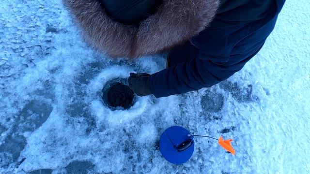 Рыбалка Ирикла,  острова 18 12 2022