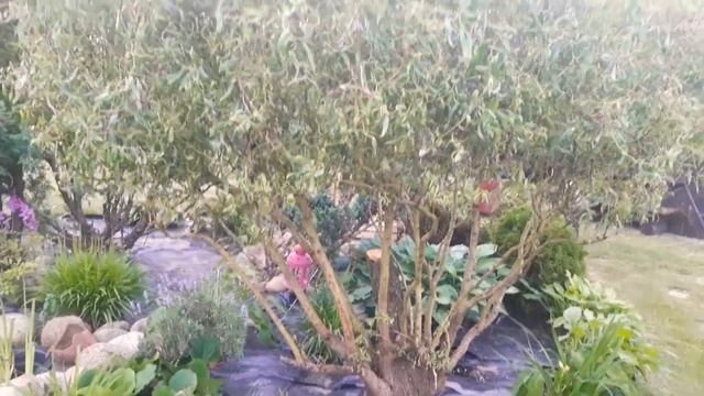 Благоустройство водоёма.Ч 3 смотреть онлайн