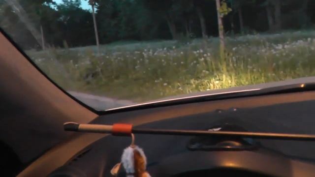 Какой автомобиль не подходит к Сдаче Экзамена в ГИБДД. смотреть онлайн