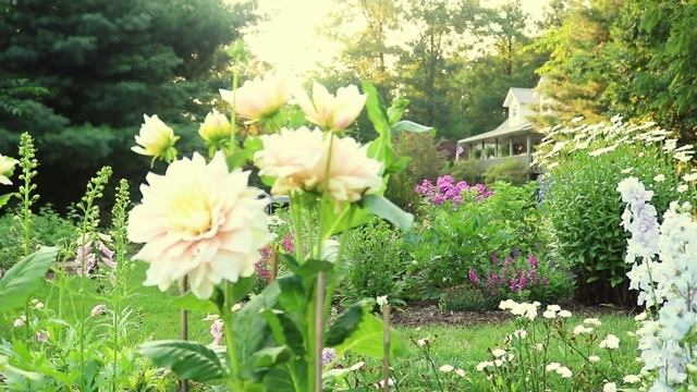 Summer Garden Tour ~ Tour My Sister's Beautiful Gardens! ~ Cottage Style Gardens ~ Shade Gardens