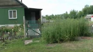 Плодосовхоз Природа улица садовая и сады придония