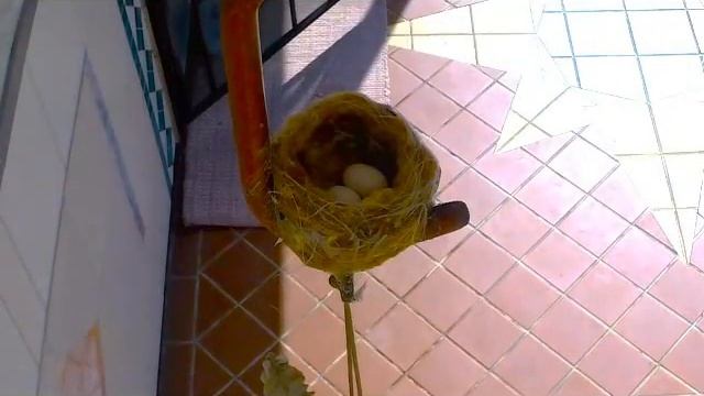 Hummingbird # 6 смотреть онлайн