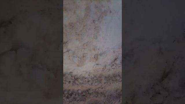 Мы в городе Ядрин смотреть онлайн