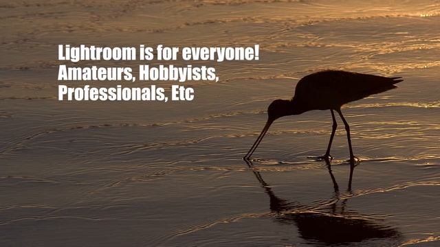 Who Should Be Using Adobe Lightroom 3? смотреть онлайн