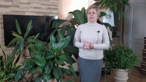 СПАТИФИЛЛУМ - ЖЕНСКОЕ СЧАСТЬЕ ? Особенности выращивания / Садовый гид