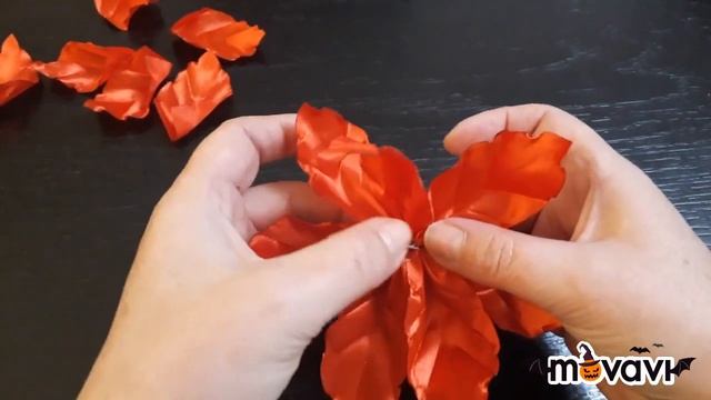 Рождественский цветок пуансетия смотреть онлайн