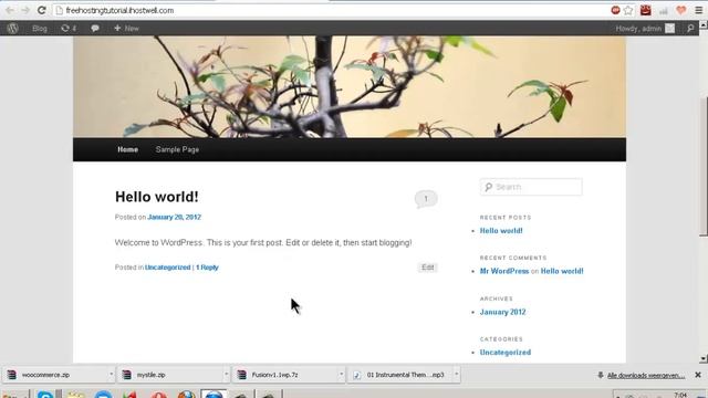 Setting up Wordpress on the Free Hosting смотреть онлайн