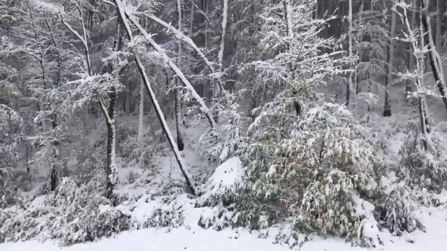 Путешествия в стихах часть 2.1 (он и она) 2017 смотреть онлайн