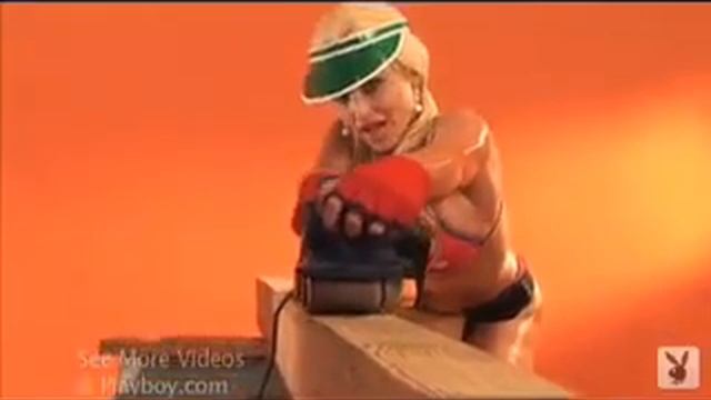 BR's Playmates &  Powertools