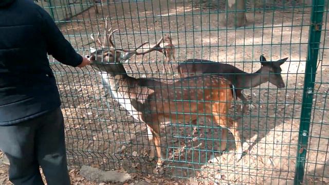 Для тех кто соскучиился за летом, просто для настроения смотреть онлайн