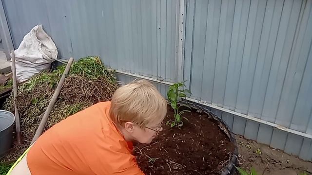 Время сажать перцы. смотреть онлайн