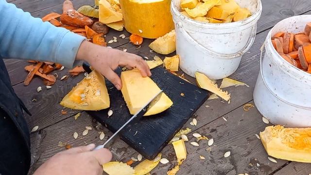 КОРМ ДЛЯ С/Х ЖИВОТНЫХ(КРОЛИКОВ)ГДЕ ВЗЯТЬ БЕСПЛАТНЫЙ КОРМ?))
комбикорм#кролиководство