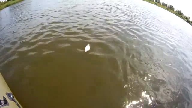 Глазовское водохранилище, рыбалка смотреть онлайн