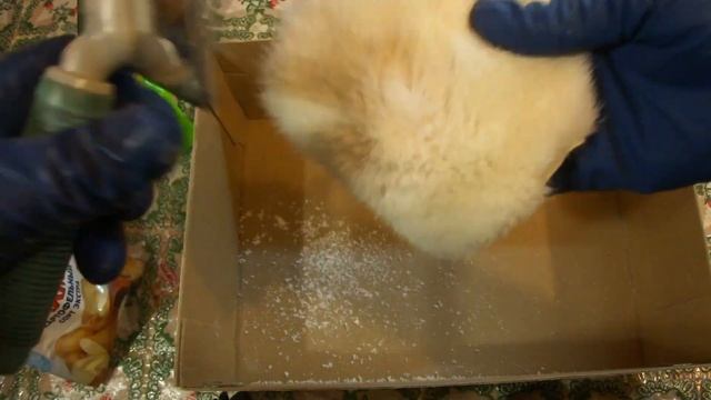 Как почистить белый мех смотреть онлайн