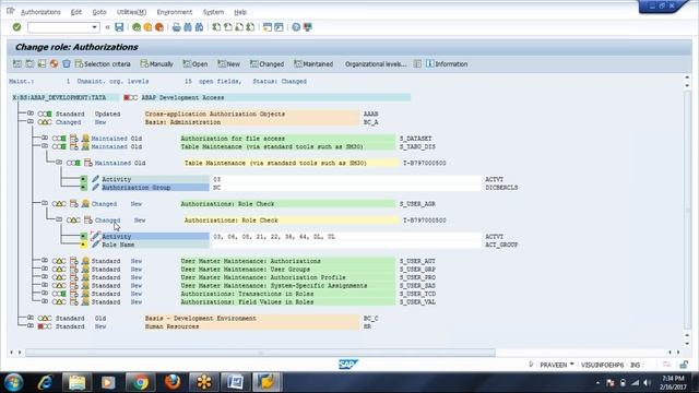 Day 7 - Authorization Tab in PFCG смотреть онлайн