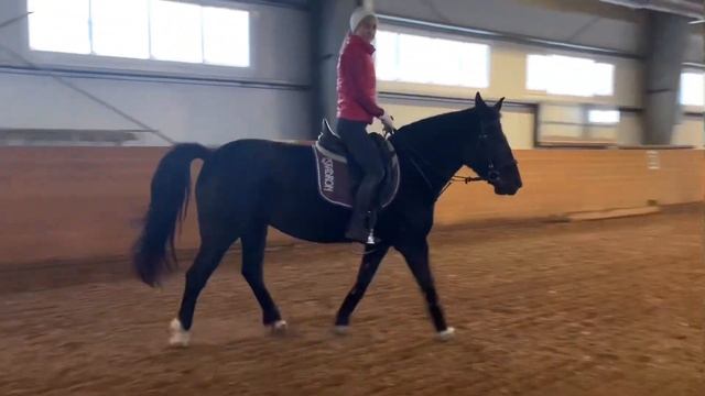 ПОЛЕВАЯ ПОСАДКА НА ШАГУ, РЫСИ, ГАЛОПЕ смотреть онлайн