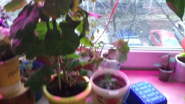 Второй подоконник май 2021 смотреть онлайн