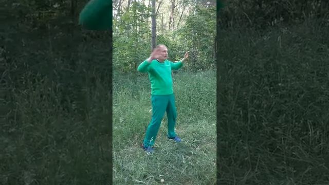Технологии "Ассасин". Русский ассасин уроки славянки. смотреть онлайн