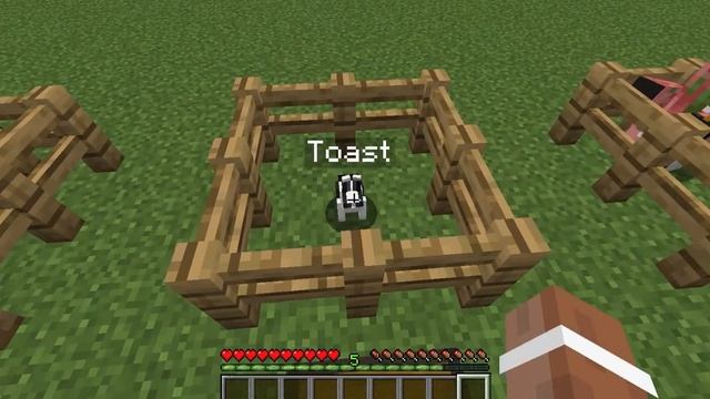 All Nametag Easter Eggs in Minecraft смотреть онлайн
