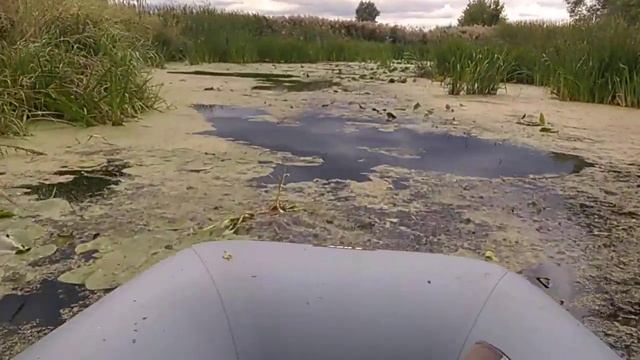 Из пипетки пар идет болотоход смотреть онлайн