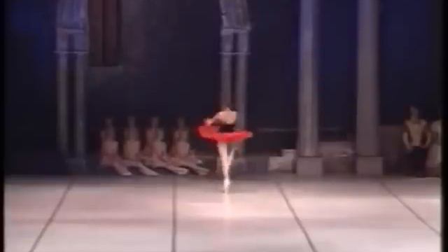 Nina Ananiashvili, Sergei Filin- Don Quixote Coda