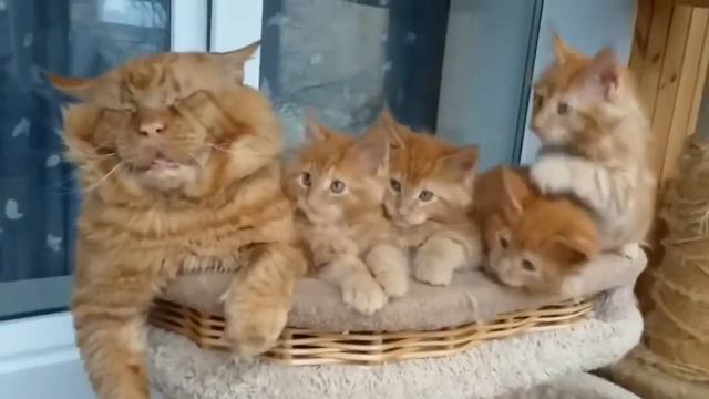 Когда оставили дедушку присмотреть за детьми 🥴🤣 смотреть онлайн