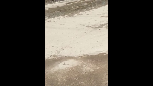 #ЯЖЕVIP яжемамка отсасывает