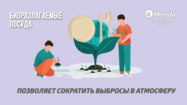 Биоразлагаемые моющие средства, посуда, мешки и баки для мусора смотреть онлайн