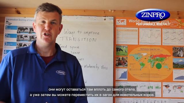 7 способов, с помощью которых можно улучшить менеджмент транзитных коров на молочной ферме. смотреть онлайн
