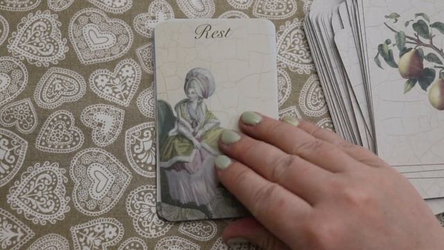 Pear Tree Court Oracle Deck by @DaniMystic | First Impressions Walkthrough смотреть онлайн