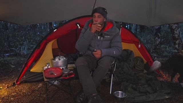 CAMPING In RAIN - TENT - Dog