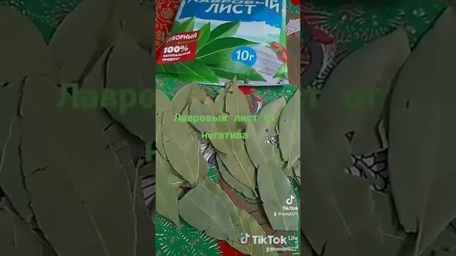 Лавровый лист он вам поможет смотреть онлайн