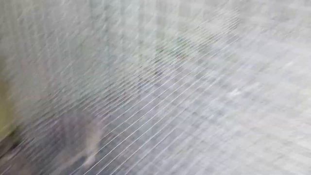 Добыча на крысоловку смотреть онлайн