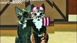 Roblox. Коты воители. Мой первый пасс. Котёнок Ника.