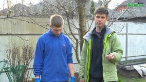 Опрыскивание по зеленому конусу на страже вашего урожая. Чем и когда делать.