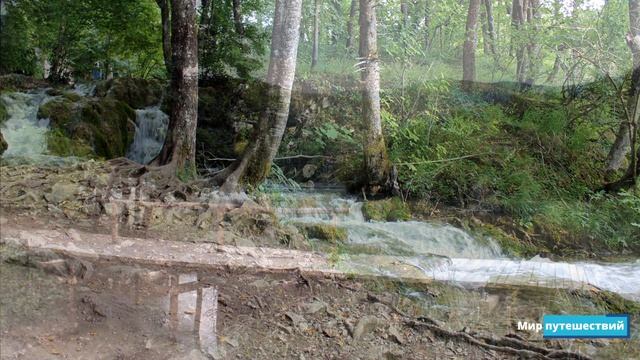 Плитвицкие озёра, Хорватия | Самые красивые места планеты смотреть онлайн