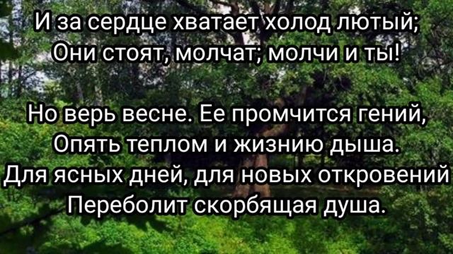 6 Б Учись у дуба у березы 5 группа Рома смотреть онлайн