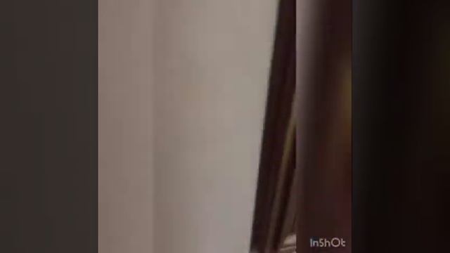 Идём в музей?/Едем в Керчь? смотреть онлайн