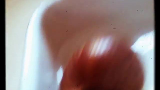 Купание ахатины. смотреть онлайн