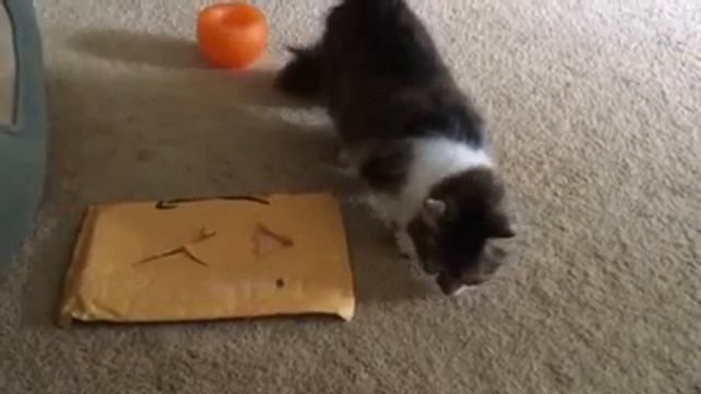 Trick envelope food puzzle 2 смотреть онлайн