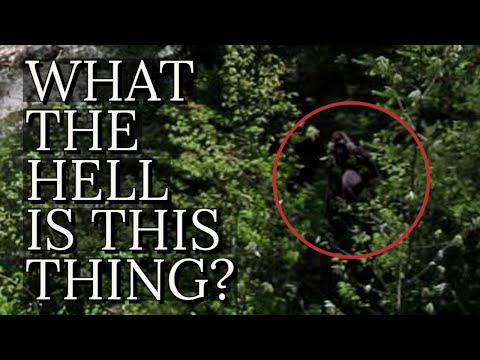 The Most Disturbing Image of Bigfoot | The Beast of Seven Chutes смотреть онлайн