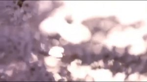 Масутацу Ояма - мощная мотивация Киокушинкай каратэ