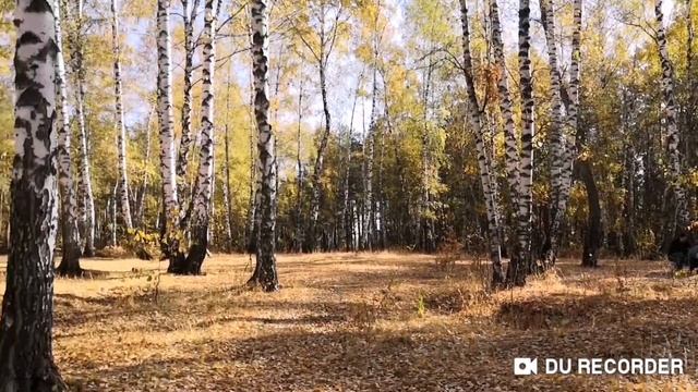 ОСЕНЬ.ПАДАЮТ ЛИСТЬЯ... смотреть онлайн