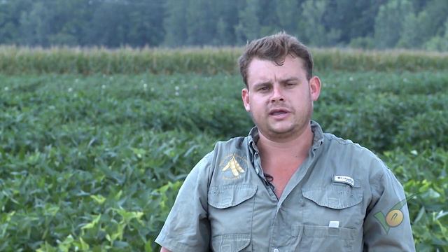 Insecticide Treatments