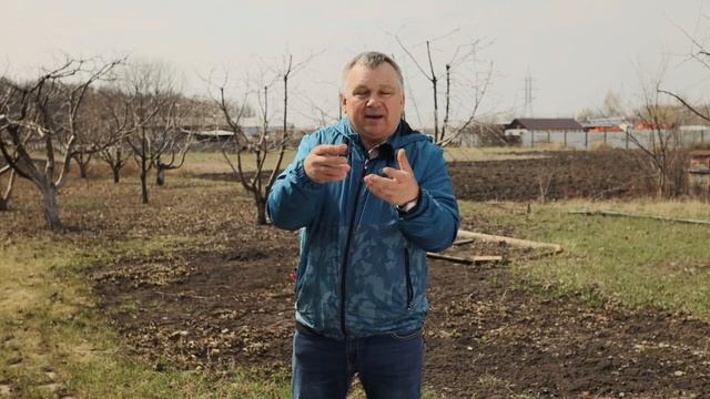 Первая важная обработка винограда весной после раскрытия смотреть онлайн